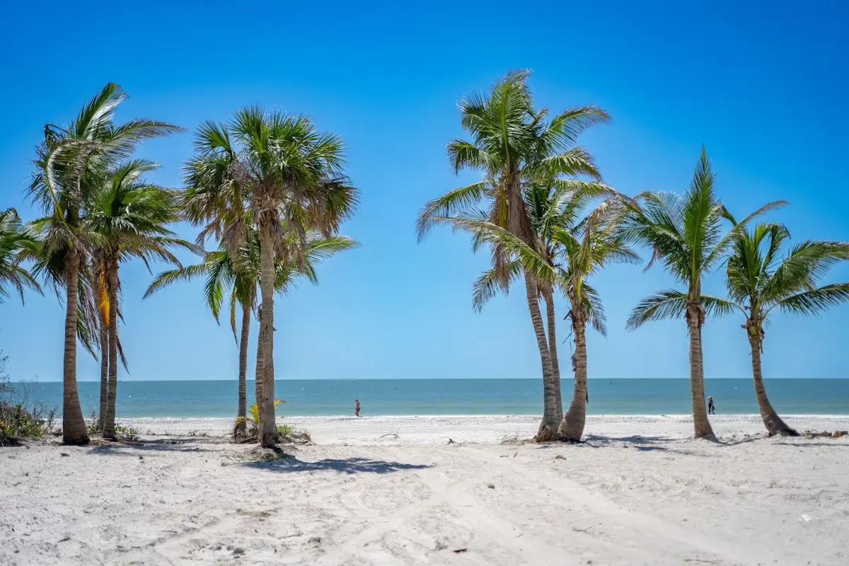 A sunny Naples beach access area with a nearly full parking lot, palm trees, and a cyclist in casual vacation clothes riding past parked cars toward the shoreline with a beach bag on the back rack