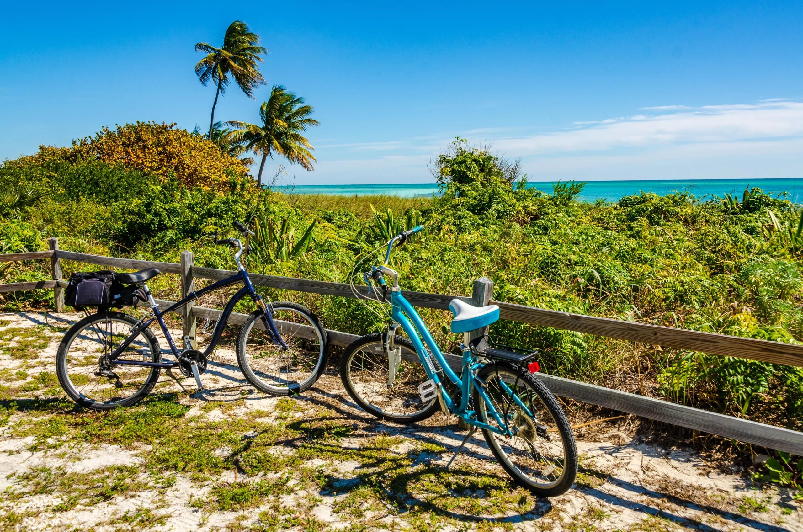 Two vibrant 7-speed bikes with a basket on a Marco Island path near Tigertail Beach, ideal for relaxed island cruising.